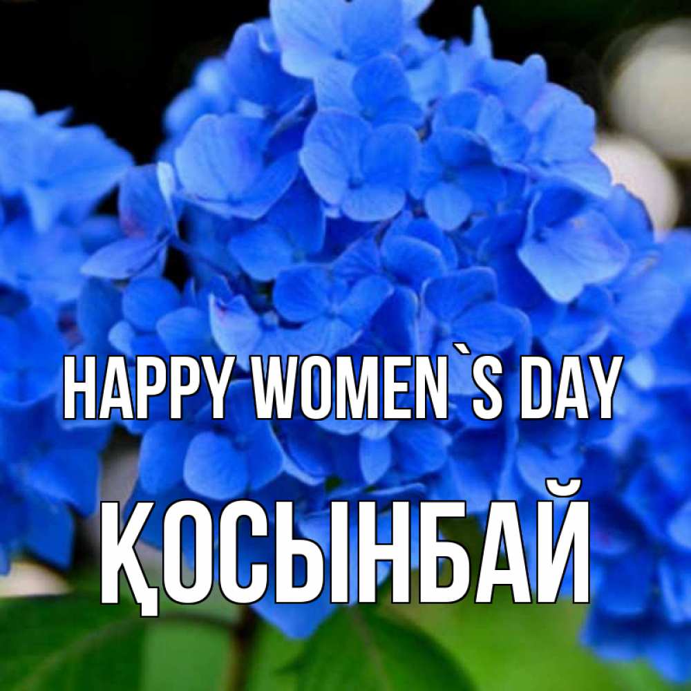 Greetings card с именем, ҚОСЫНБАЙ happy women`s day синие цветы Greetings with text for free download 